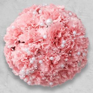 HÄÄKIMPPU, NEILIKKA