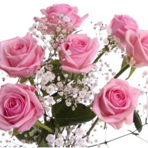 RUUSUJA JA HARSOKUKKAA, VAALEANPUNAINEN