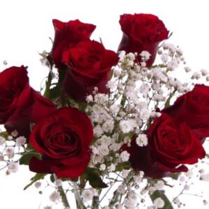 RUUSUJA JA HARSOKUKKAA