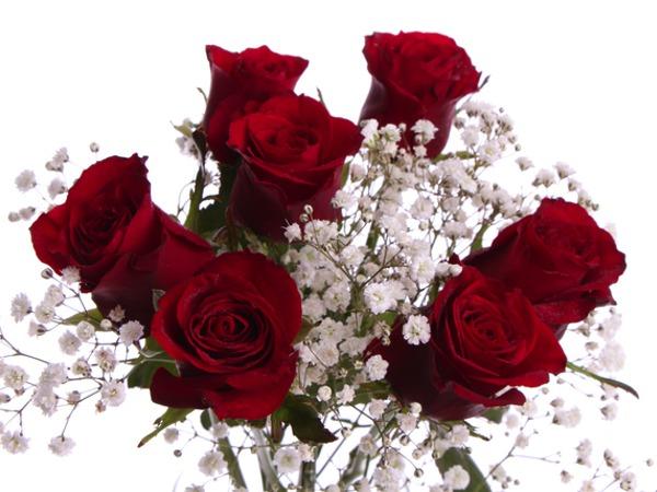 RUUSUJA JA HARSOKUKKAA