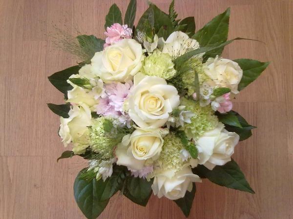 MATALA KUKKAKIMPPU "MARGARET"