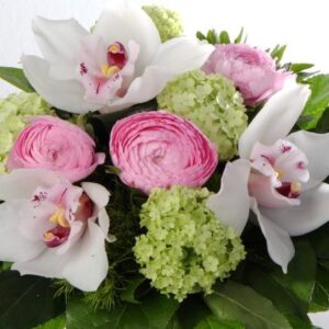 MATALA KIMPPU "ORKIDEA"