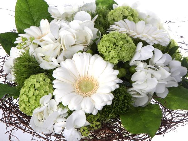 VALKOISEN YSTÄVÄLLE