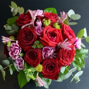 PUNAINEN RAKKAUS, MATALAKIMPPU