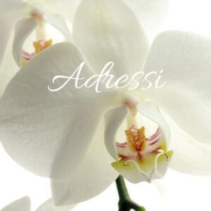 ADRESSI