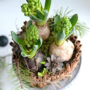 VAIHDA TUOKSUVAA LASIVADISSA