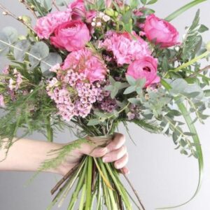 BOHEMIA, SESONGIN KUKISTA