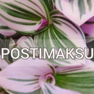 POSTI/MATKAHUOLTO MAKSU JA PAKKAUSKULUT