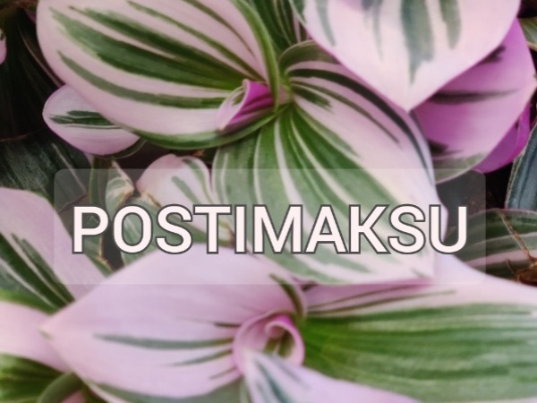 POSTI/MATKAHUOLTO MAKSU JA PAKKAUSKULUT