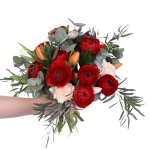 PUNAINEN KEVÄT, KIMPPU