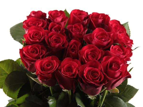 Ruusukimppu punainen