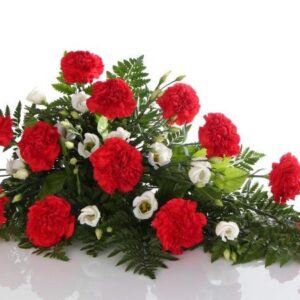 Surulaite punaisista neilikoista